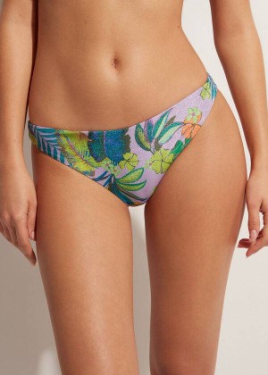 Calzedonia Brasilia Women's Bikini Bottoms Purple | CA 2887OR