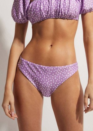 Calzedonia Cipro Women's Bikini Bottoms Purple | CA 2831ZG