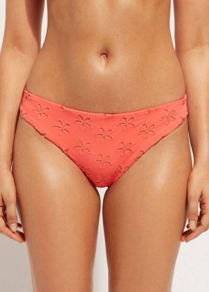 Calzedonia Corfù Women's Bikini Bottoms Coral Orange | CA 2819YU