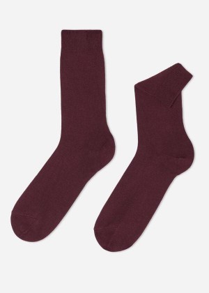 Calzedonia Crew with Cashmere Men's Socks Burgundy | CA 1350QZ