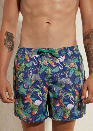 Calzedonia Formentera Men's Swim Trunks Green / Blue | CA 1272QZ