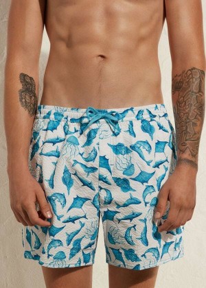 Calzedonia Formentera Men's Swim Trunks Turquoise / White | CA 1271MA