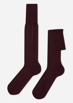 Calzedonia Lisle Thread Long Men's Socks Burgundy | CA 1430EX