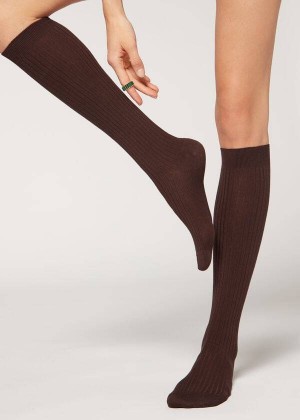 Calzedonia Long Ribbed Cashmere Women's Socks Brown | CA 1946NB