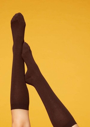 Calzedonia Long with Cashmere Women's Socks Brown | CA 1940LH