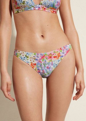 Calzedonia Minorca Eco Women's Bikini Bottoms Multicolor | CA 2687CE