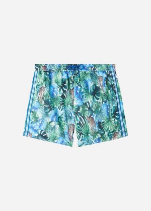 Calzedonia Patterned Ibiza Men's Swim Trunks Multicolor | CA 1262JJ