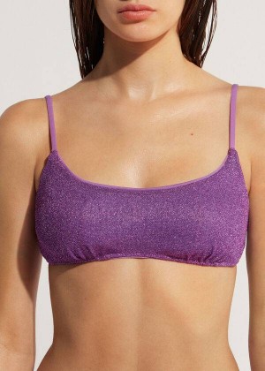 Calzedonia Tank-style Las Vegas Women's Bikini Tops Purple | CA 2180NB