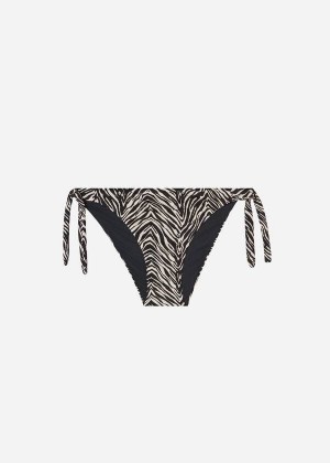 Calzedonia Tied Zebra Nairobi Women's Bikini Bottoms Black | CA 2535NB