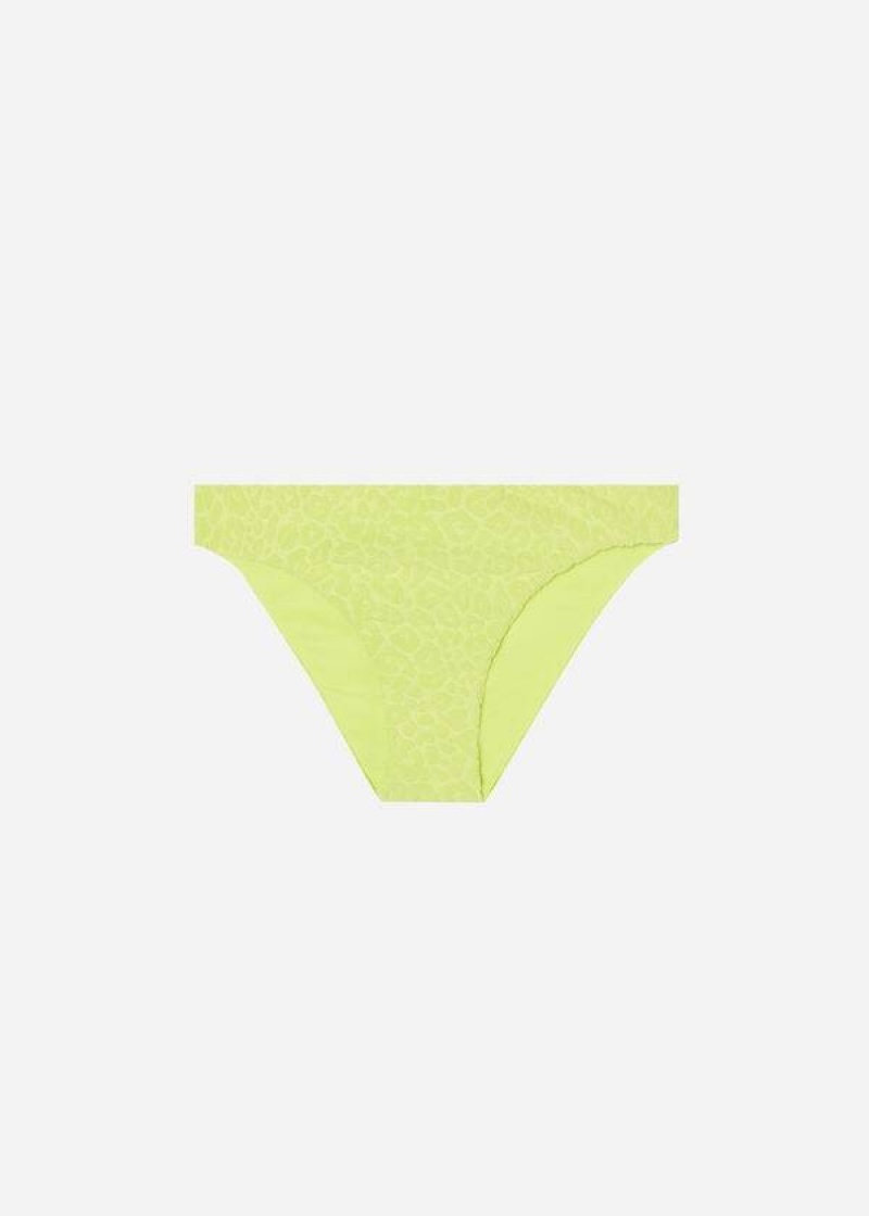 Calzedonia Bangkok Women's Bikini Bottoms Green | CA 2898BC