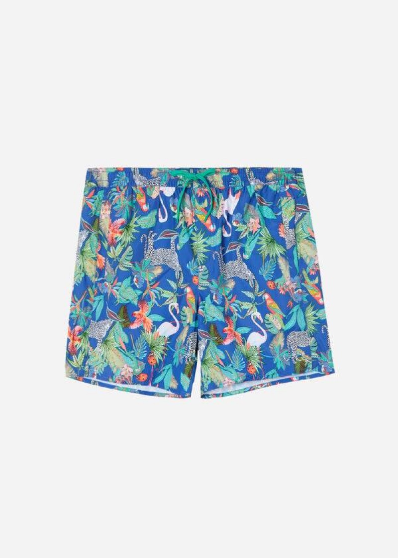 Calzedonia Formentera Men's Swim Trunks Green / Blue | CA 1272QZ