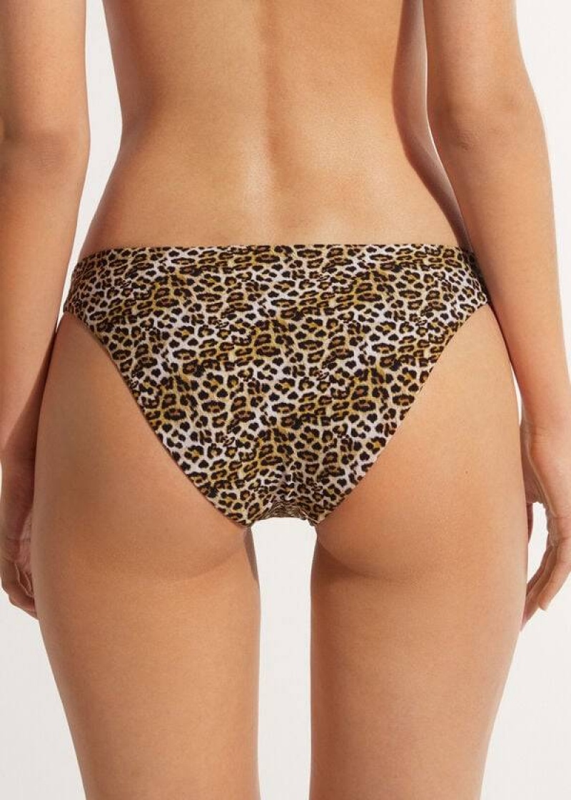 Calzedonia Malindi Women's Bikini Bottoms Brown | CA 2692JJ