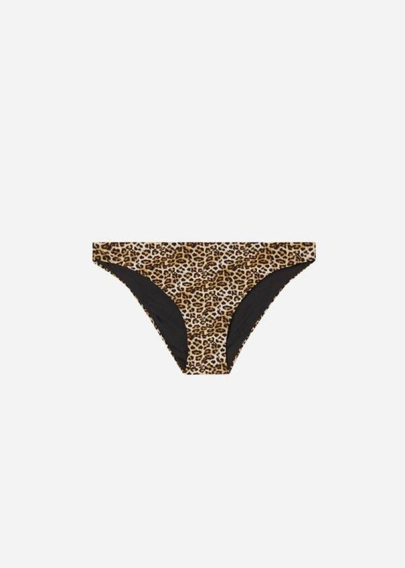 Calzedonia Malindi Women's Bikini Bottoms Brown | CA 2692JJ