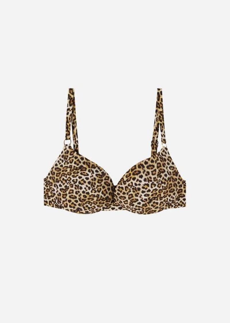 Calzedonia Push Up Malindi Women's Bikini Tops Brown | CA 2239YU