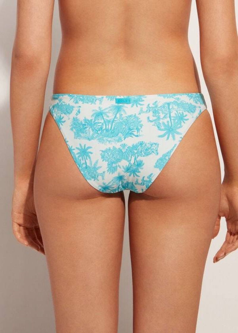 Calzedonia Sorrento Women's Bikini Bottoms Blue | CA 2616CE